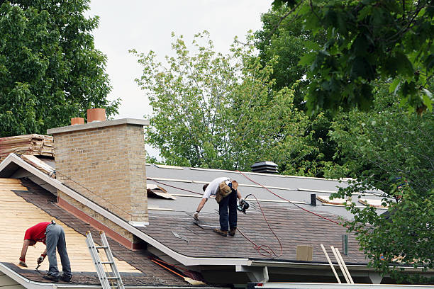Best Storm Damage Roof Repair  in New Madrid, MO
