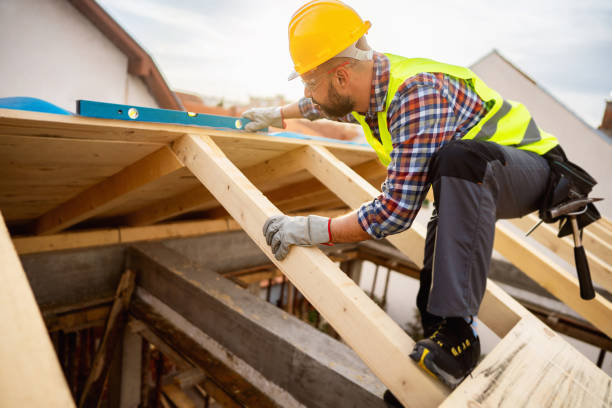 Best Roof Maintenance Services  in New Madrid, MO