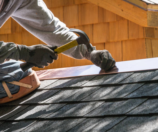 Best Roof Gutter Cleaning  in New Madrid, MO